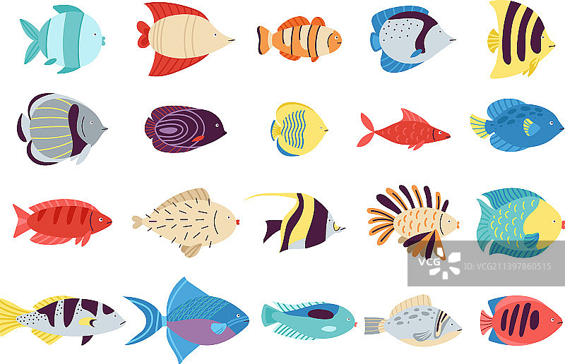 奇异的鱼使海洋生物五彩缤纷图片素材