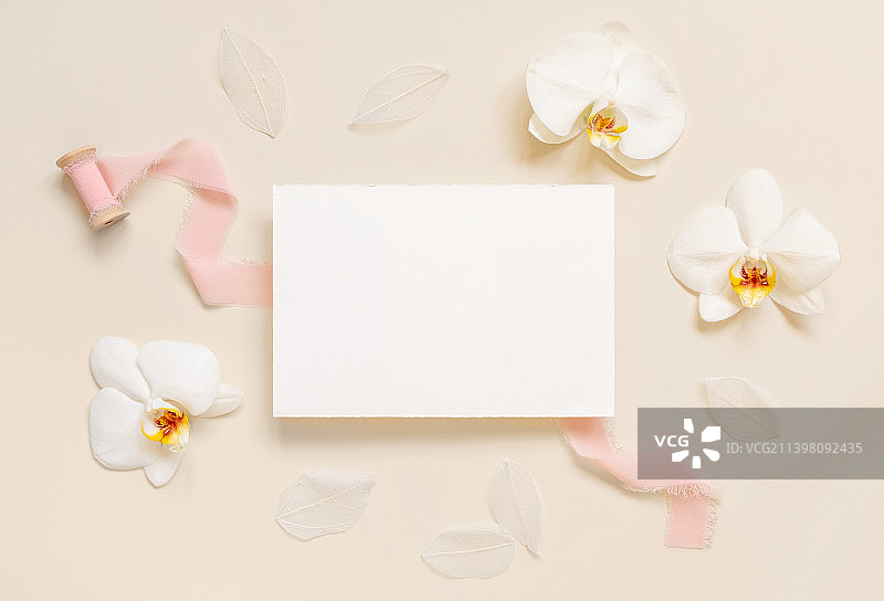 空白卡附近白色兰花和粉红色丝带浅米色，婚礼模型图片素材