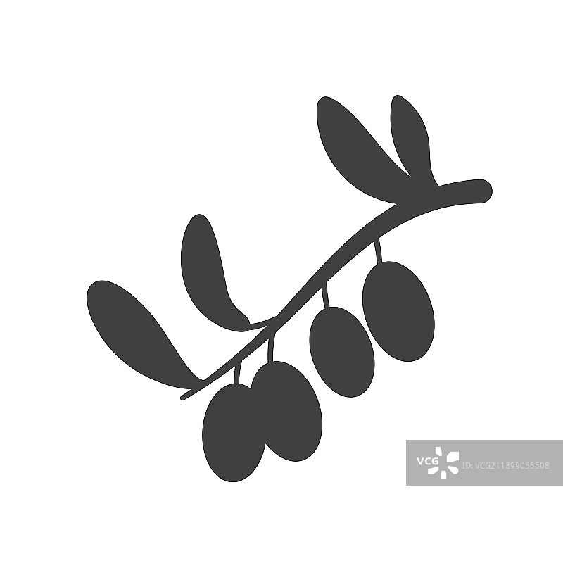 嫩枝上有橄榄，叶子单纯孤立的黑色图片素材