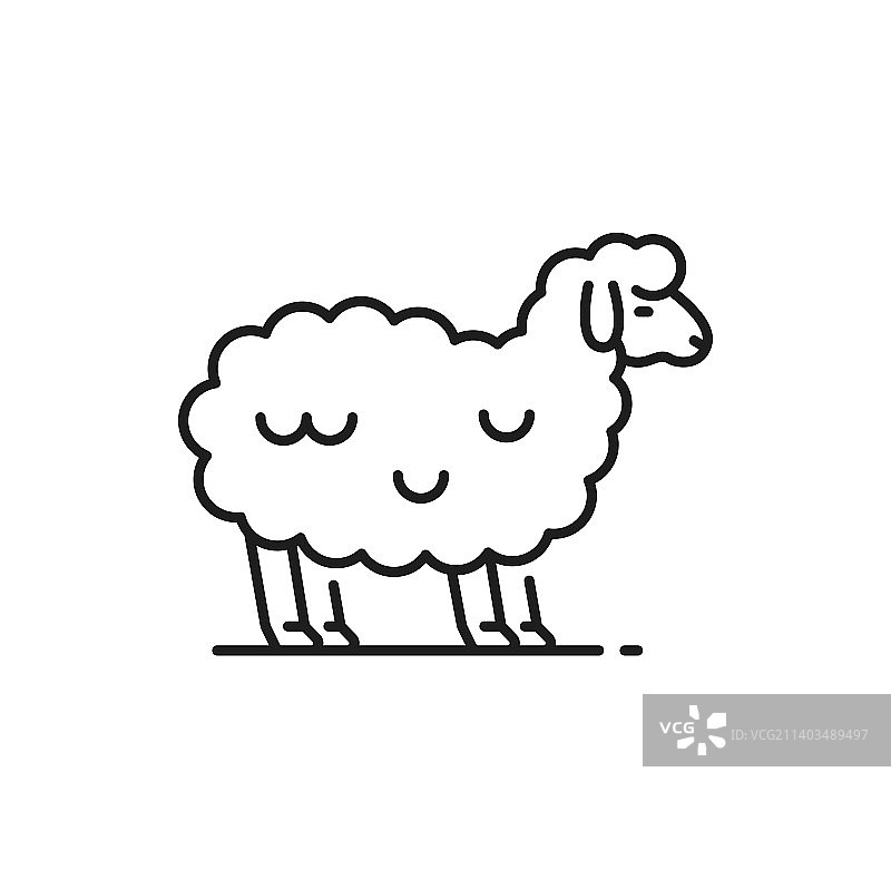 绵羊动物细线计数为睡眠轮廓图片素材