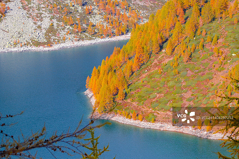 秋日树木映衬下的湖景图片素材