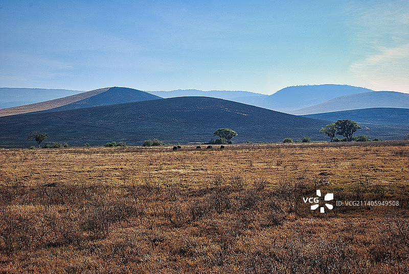 坦桑尼亚恩戈罗恩戈罗陨石坑，天空映衬下的田野风景图片素材