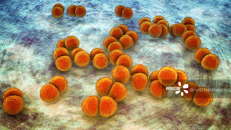 肺炎链球菌，插图图片素材