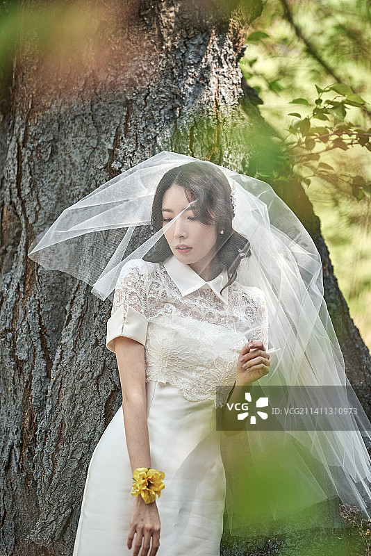 小婚礼，婚礼，韩国，幸福，婚姻，新娘图片素材