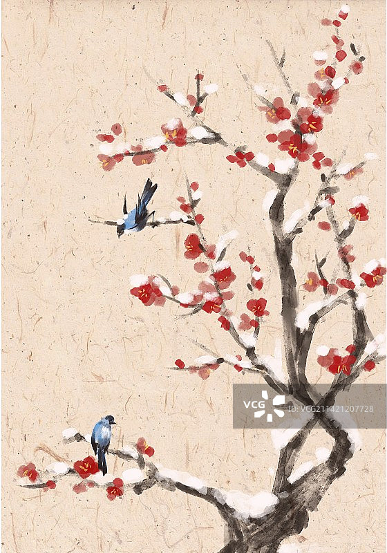 小鸟在雪落梅花的枝头图片素材