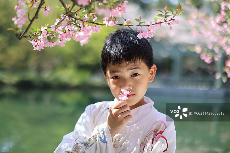 穿着汉服的小男孩站在公园海棠花树下图片素材