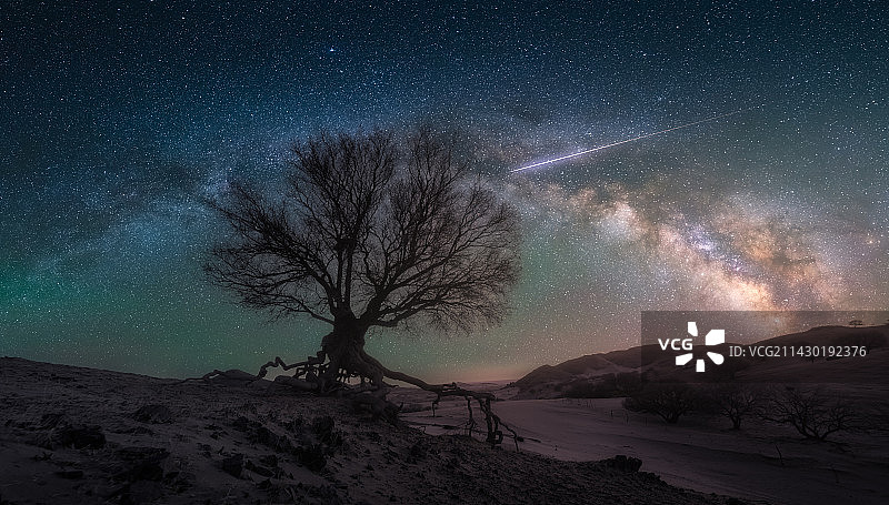 内蒙古赤峰沙漠星空下的枯树，星空自然风光背景图图片素材