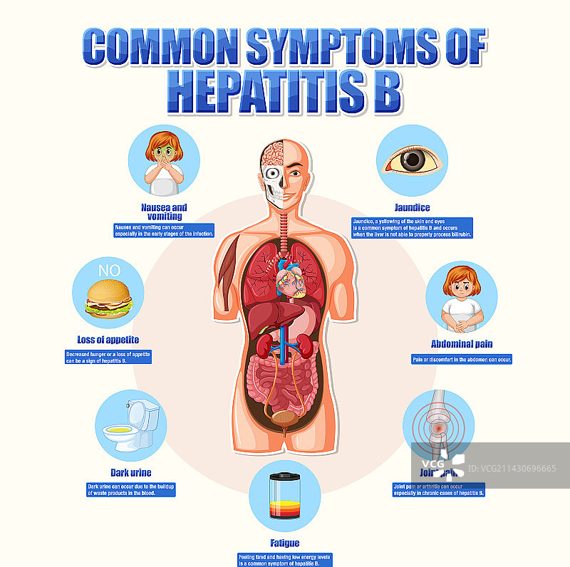 乙型肝炎常见症状的宣传海报图片素材