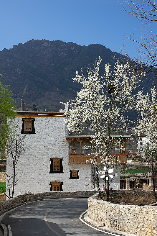 甘孜藏族自治州藏式建筑整体及局部特写图片素材