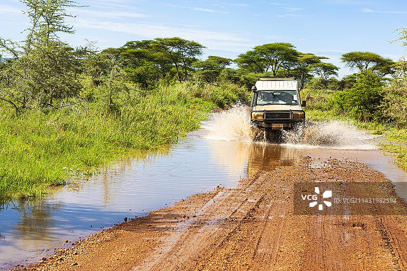坦桑尼亚，非洲，塞伦盖蒂国家公园，一辆吉普车穿过一个带水的浅滩图片素材