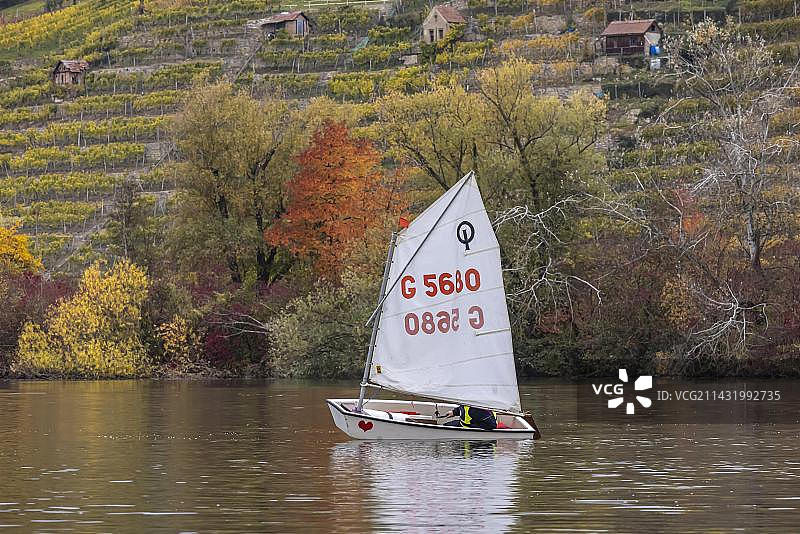 赛艇与经典的训练船乐天派，帆船，Max-Eyth-See，秋天的风景，斯图加特，巴登-符腾堡，德国，欧洲图片素材