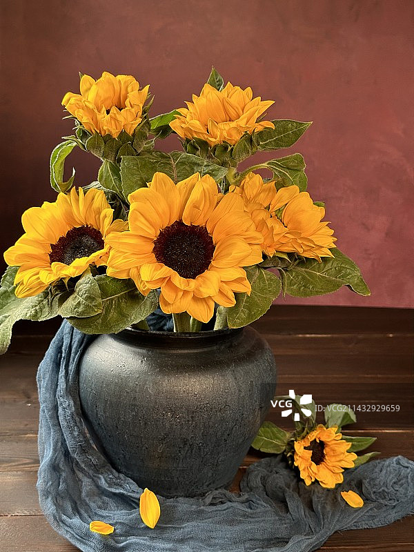桌上花瓶里的向日葵图片素材