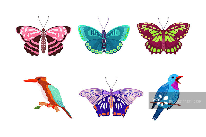 飞舞的热带蝴蝶带着明亮图片素材