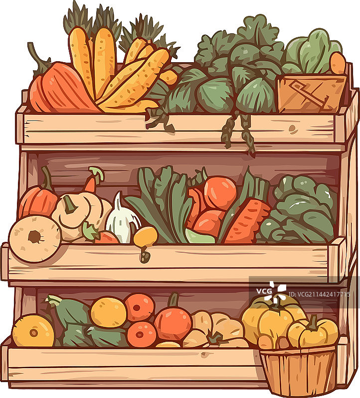新鲜蔬菜健康餐在货架上图片素材