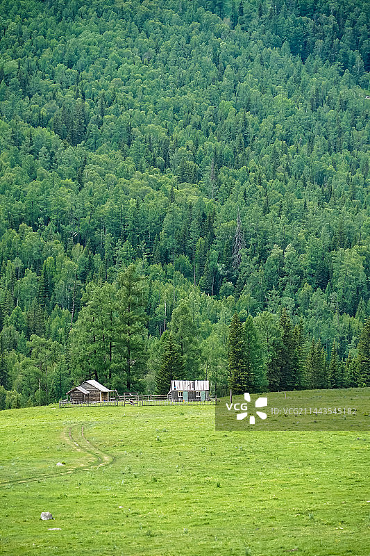 高山草场夏天绿色原野风光与房屋图片素材