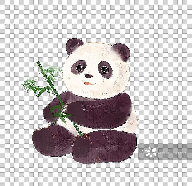 大熊猫吃竹子插画图片素材