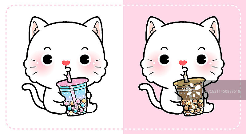 可爱的小白猫喝着珍珠奶茶图片素材
