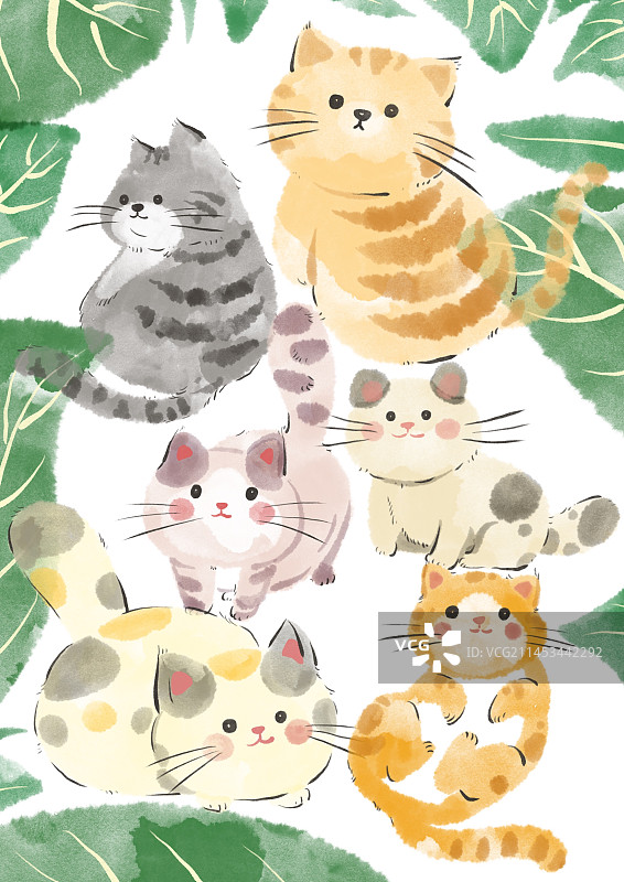 猫猫插画图片素材