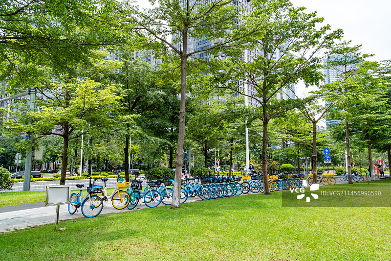 广州市天河区临江大道街头停靠整齐的共享单车图片素材