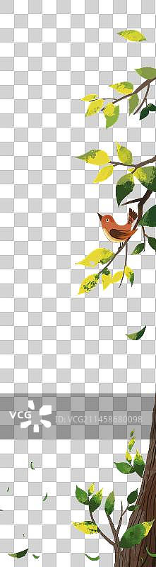 树枝 小鸟 边框素材图片素材