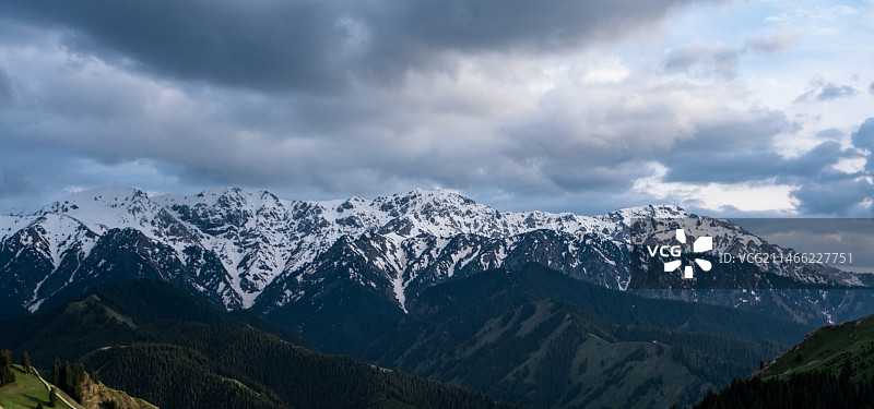 新疆伊犁蓝天白云下的雪山草原图片素材