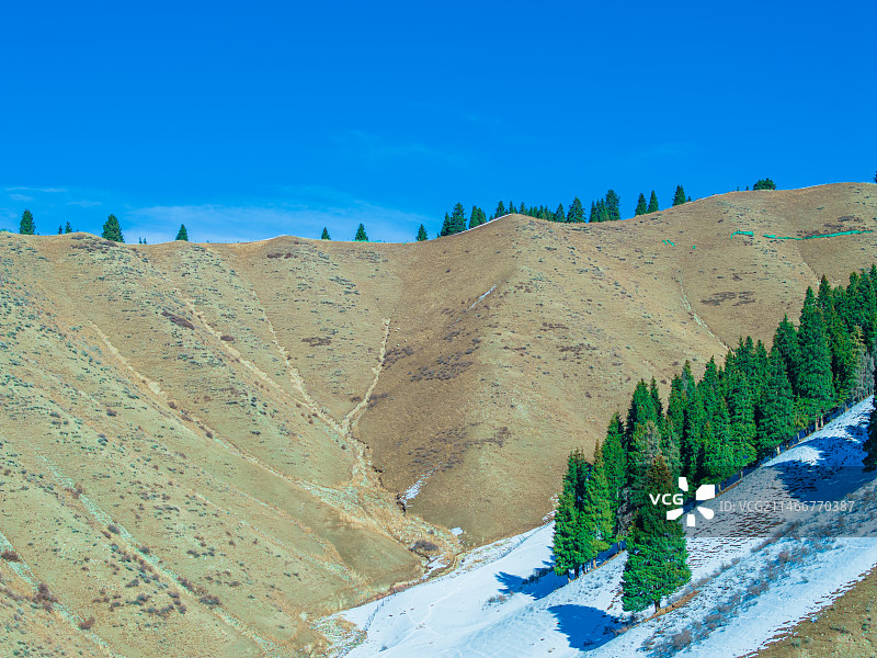 新疆雪山 博格达峰 乌鲁木齐南山风景区 滑雪场  森林图片素材