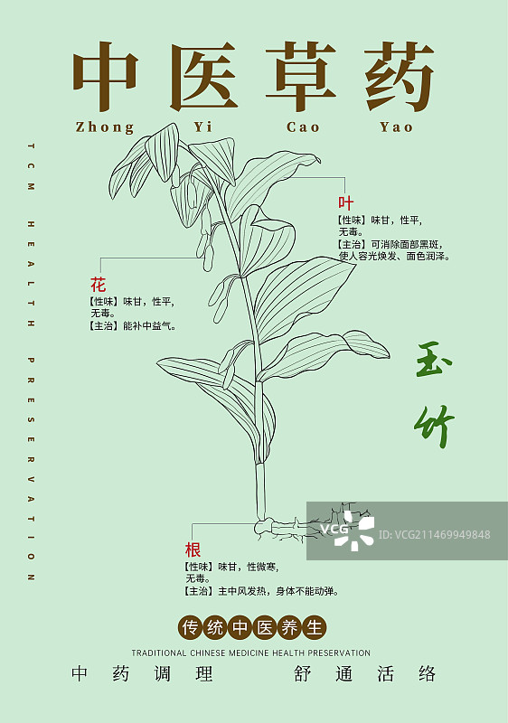 手绘中草药玉竹特写植物插画版式设计海报图片素材