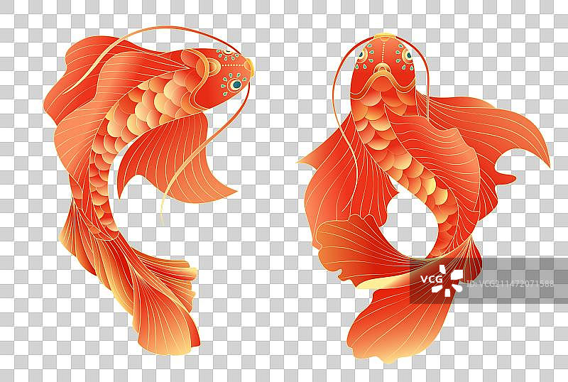 手绘鱼类锦鲤鲤鱼金鱼国潮插画元素图片素材