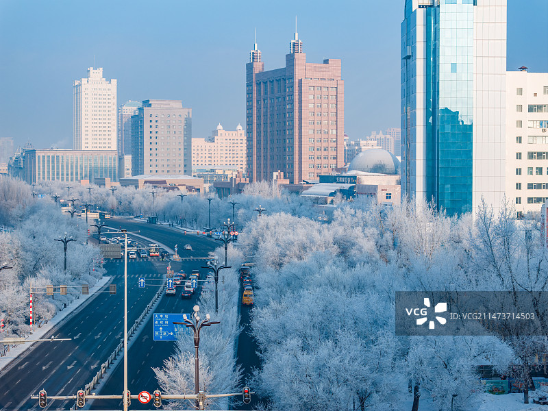 中国黑龙江哈尔滨冬季城市雾凇雪景图片素材