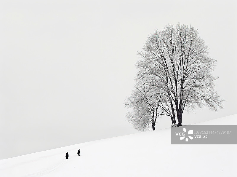 【AI数字艺术】雪地上的树木顶着天空图片素材