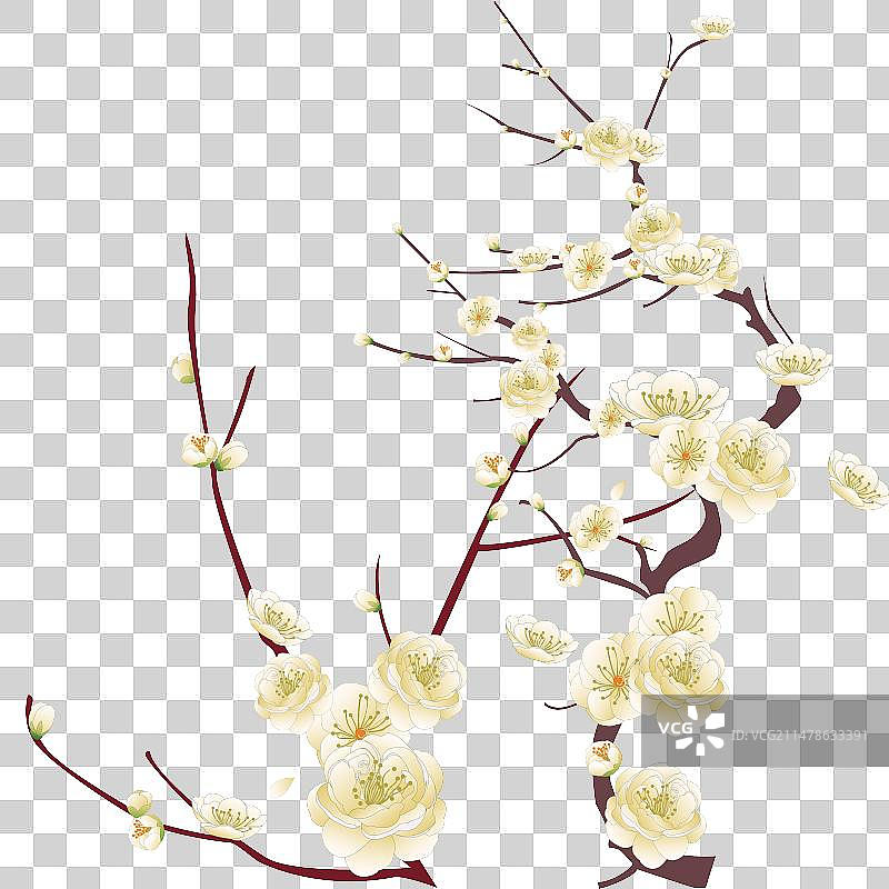 国潮风白色梅花植物插画图片素材
