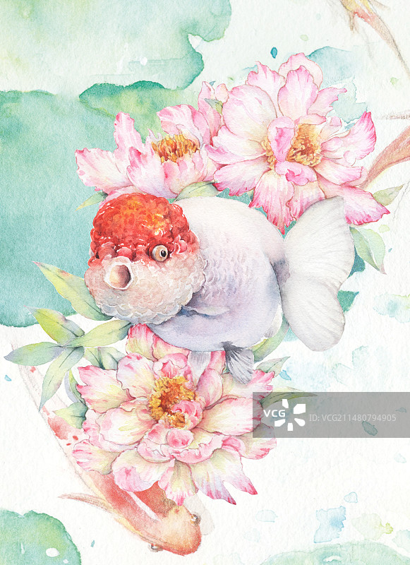 荷塘鲜花芍药牡丹花丛中的金鱼兰寿锦鲤清新水彩海报插画图片素材