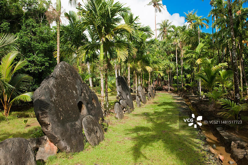 超大型巨型石头硬币真正的石头钱石头钱银行在丛林的雅浦岛，雅浦岛，雅浦州，卡罗琳群岛，FSM，密克罗尼西亚联邦，澳大利亚，大洋洲图片素材