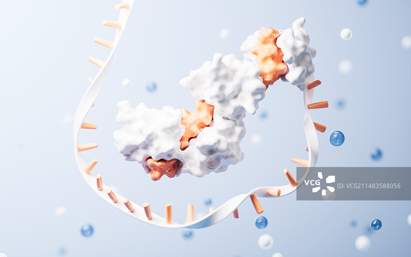 生物科技概念RNA基因与蛋白质3D渲染图片素材