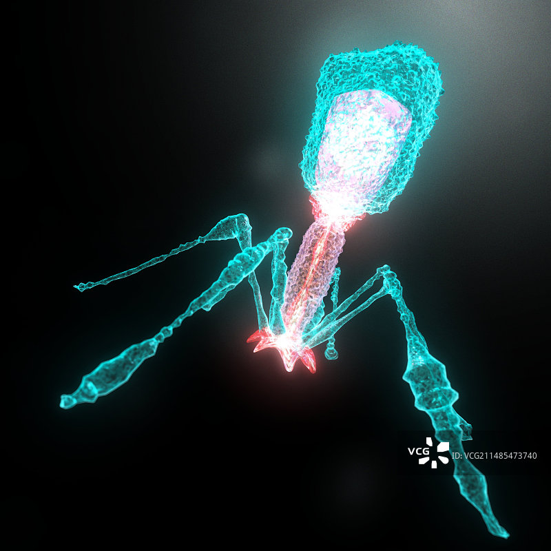 噬菌体病毒，电脑艺术品图片素材