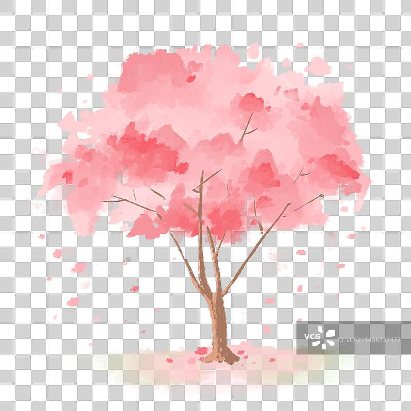 春季盛开的樱花树桃花树手绘插画图片素材