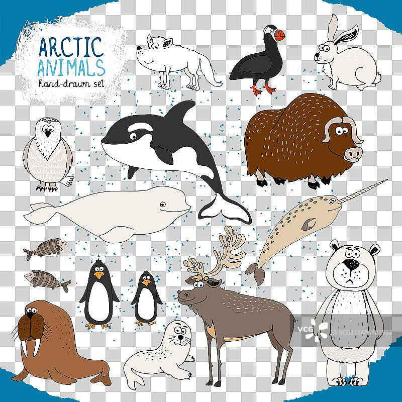 一套手绘北极动物图片素材