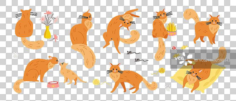 姜猫图标集图片素材