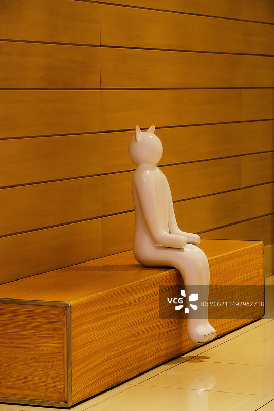 方形座椅上挺直身躯做等待状态的人形猫图片素材