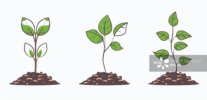 【AI数字艺术】三个树苗在泥土里插画图片素材