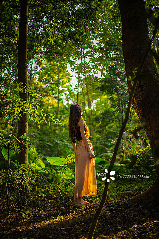 站在森林里的女人图片素材