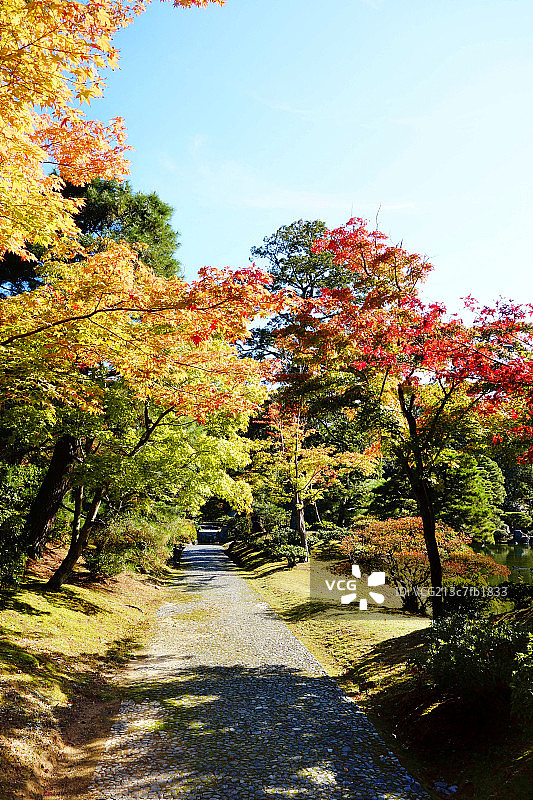 日式庭院风光图片素材