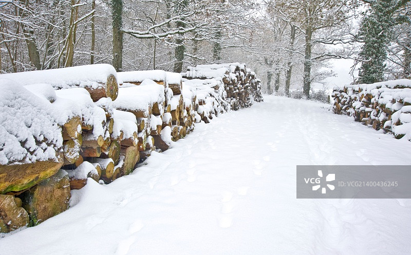 美丽的冬季森林雪景与深的处女雪和新鲜砍伐的木材堆放在路边图片素材