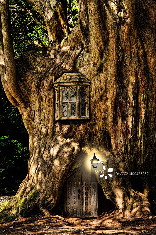 童话般的梦幻小屋在森林的树干图片素材