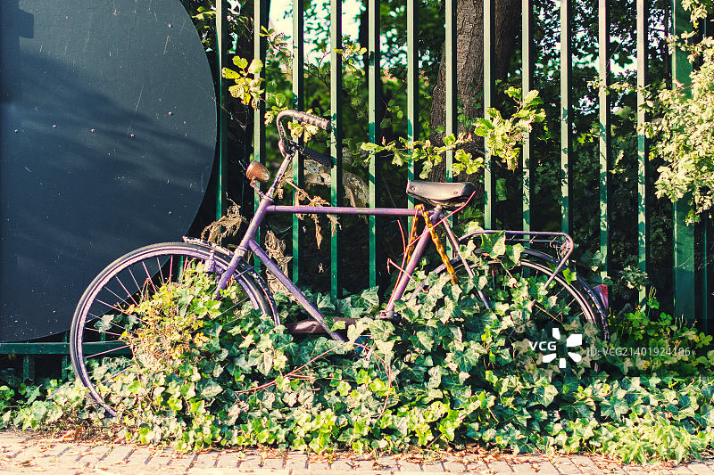 阿姆斯特丹生锈的自行车图片素材