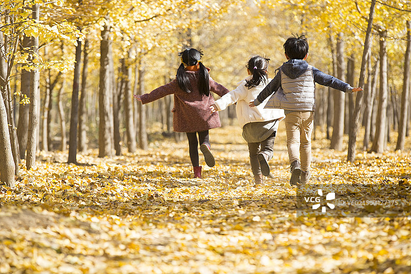 三个小孩在秋日的树林里嬉戏图片素材