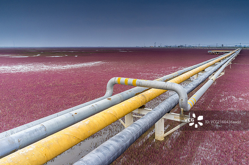 红海滩上的输油管道图片素材
