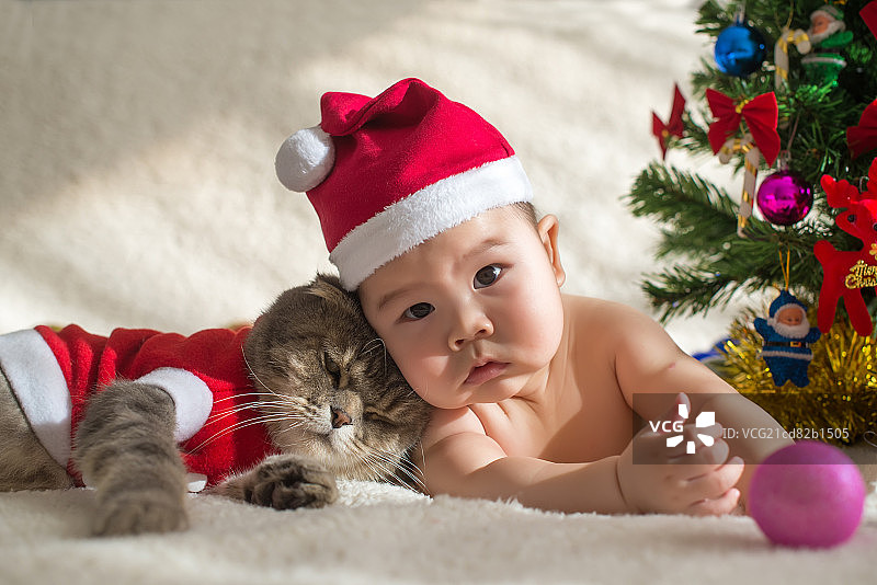到圣诞帽的婴儿和猫图片素材