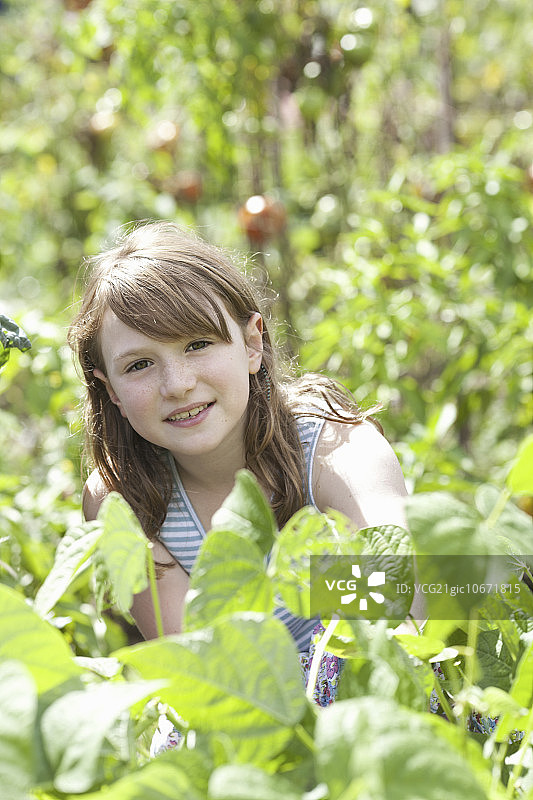 一个年轻的女孩坐在花园里新鲜的绿叶中间。蔬菜和鲜花。选择新鲜的蔬菜。图片素材