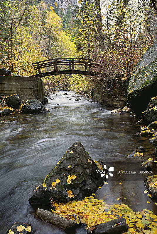 流经美国福克峡谷的河流。小木桥。秋叶，落叶。图片素材